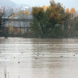 Poplave u Bosni i Hercegovini: Neretva se gotovo izlila iz korita, ima stradalih 11