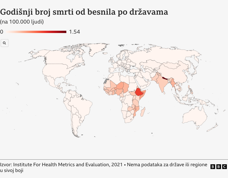 Dobrobit životinja: Koji je najbolji metod kontrole populacije pasa lutalica 2 besnilo