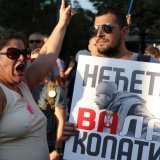 Skupština Srbije o litijumu 1