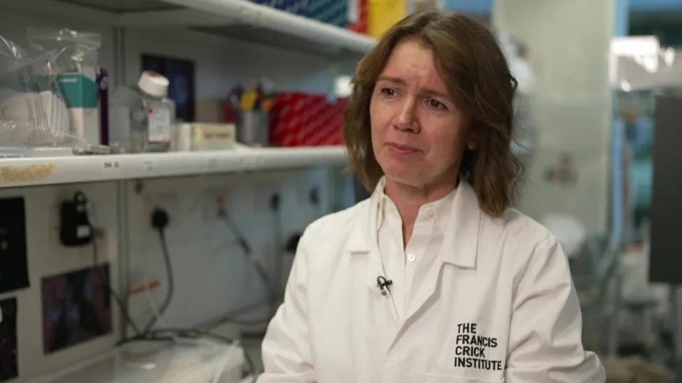 Zdravlje: Koliko je delotvorno lečenje raka imunoterapijom 2 Samra Turajlić je onkološkinja u bolnici Rojal Marsden i predvodi projekat na Institutu Frensis Krik u Londonu