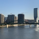 Protest zbog izmeštanja Starog savskog mosta u Beogradu 6