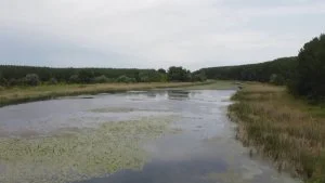 Bara Reva ponovo na udaru: Vlada dekretom proglašava luku 12