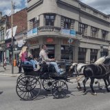 Zbog „Defilea kočija” privremeni režim saobraćaja u Kragujevcu 7