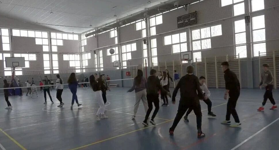 Portal Bebac: Zdravitas nam pokazao da država nije zdrava 1