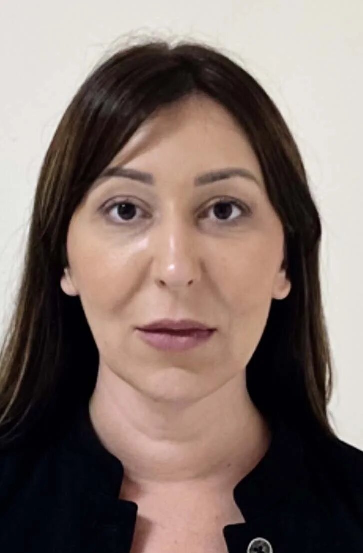 "Kao kada se seče krastavac i luk": Dekanka Filozofskog fakulteta u Nišu za Danas o Vučićevim ocenama napada na nju 3