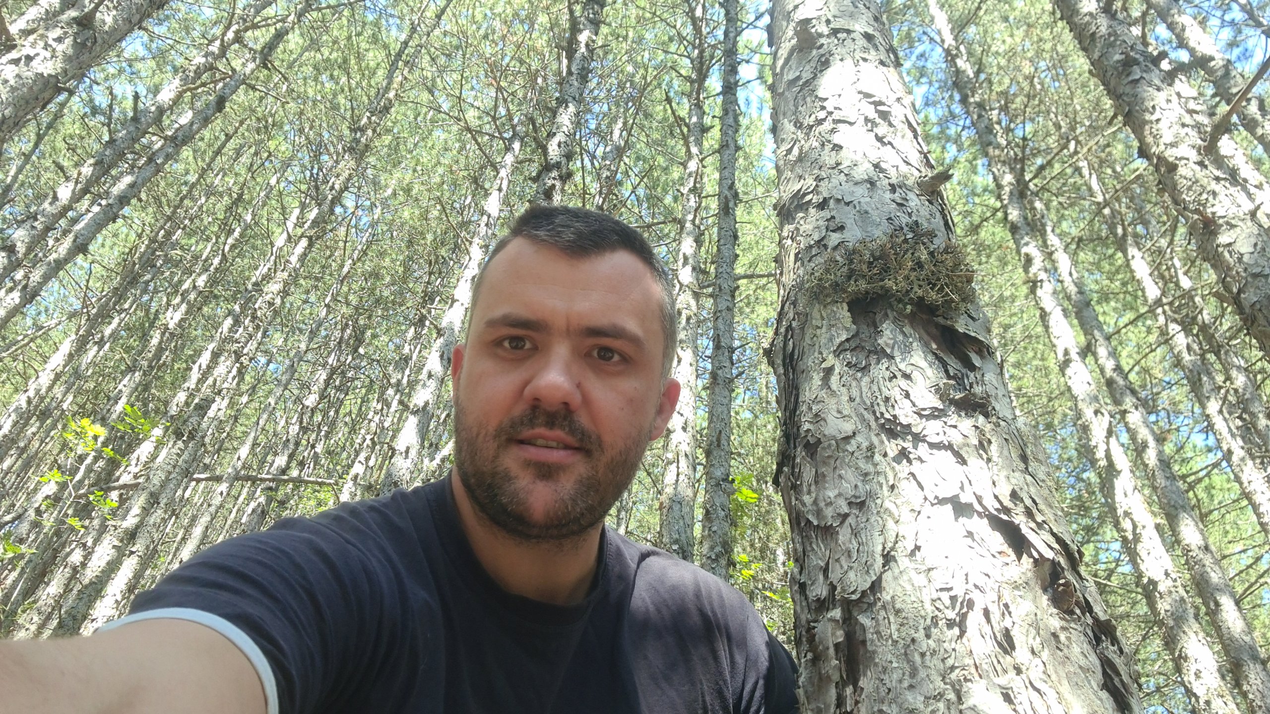 Vazduh šumovlasnici "Posadi svoj klima uređaj": Koliko šumovlasnici mogu da pomognu da se smanji zagađenje vazduha u Srbiji i kada treba kupiti ogrevno drvo za grejanje? 2