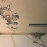 NSPRS: Zaposleni u OŠ "Stevan Sremac" u Senti traže hitnu ostavku direktorke zbog loših uslova za rad 3