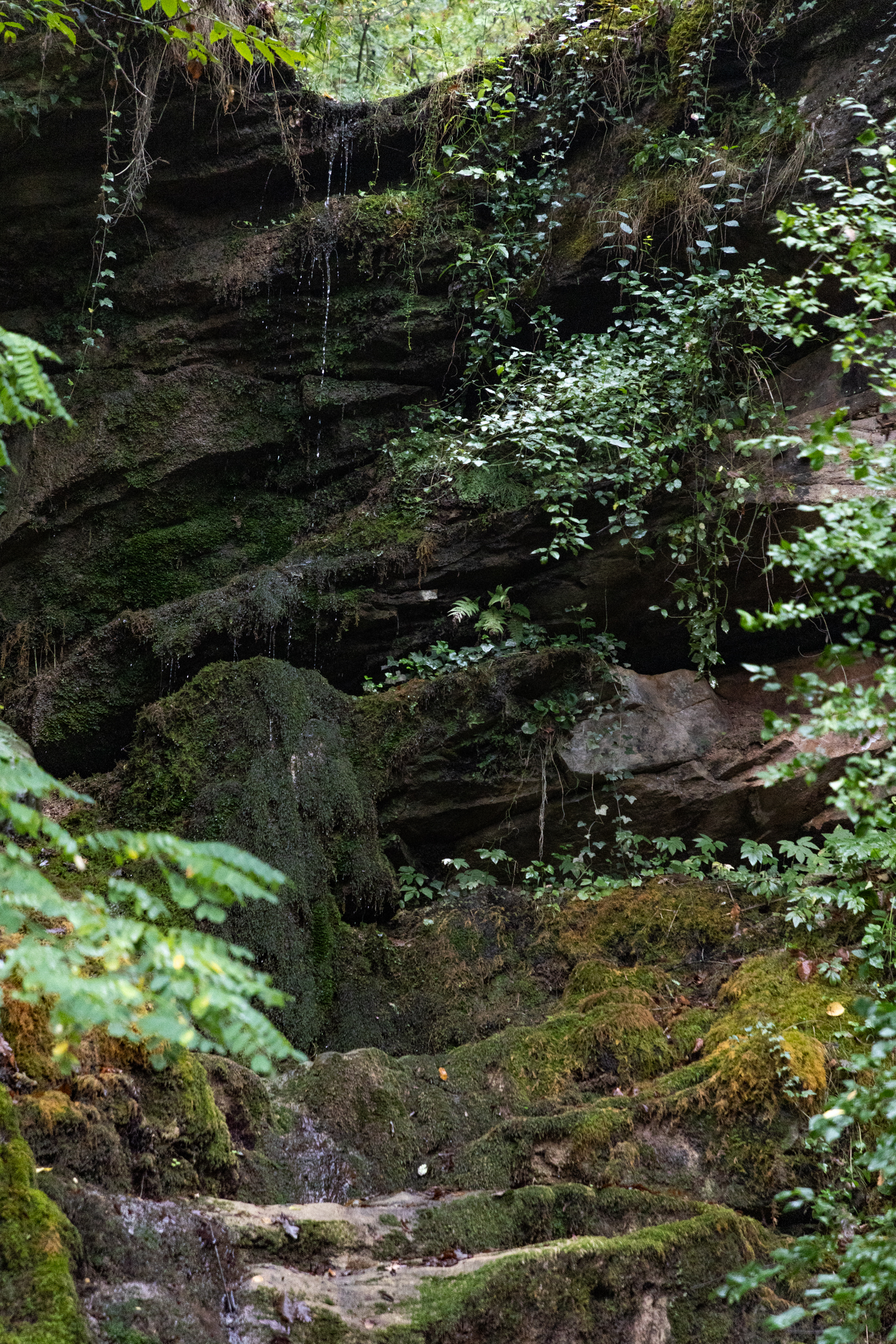 Stara planina (FOTO) Stara planina - nacionalni park na papiru dve godine, u praksi daleko od toga dok klimatske promene uzimaju danak 2
