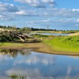 Klimatske promene i gubitak biodiverziteta najveći problemi sa kojima se planeta suočava 3