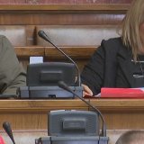 Ko je doneo Trampov kačket u Skupštinu dok se poslanici izjašnjavaju o litijumu? 14