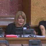 MUP: Guma na autu Danijele Nestorović nije bila izbušena već izduvana, rekao nam vulkanizer 12