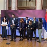 ZLF: "Nova vlada - vlada ministara 'na daljinski'" 13