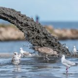 Novo zagađenje iz deponije Duboko, procedne vode se izlile u Turski potok 28