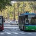 Od danas do 25. februara izmene autobuskih linija 74, 75, 708 i 72N 1