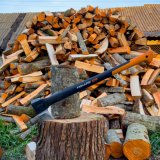 Smanjene cene ogrevnog drveta za socijalne kategorije stanovništva: Koliko će sada koštati? 1