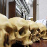 Male nacije i Anđeo istorije: Tekst Duška Lopandića 6