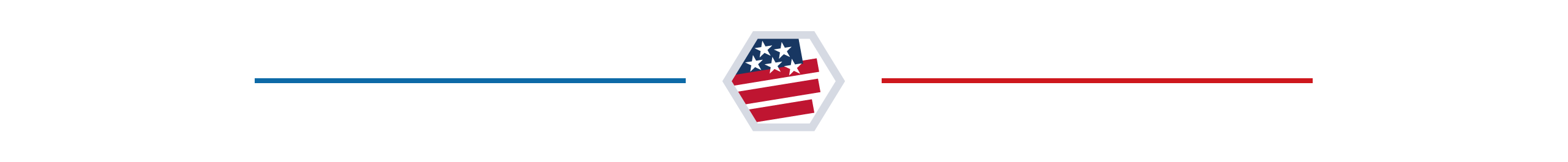 Američki izbori: Kako možete da postanete predsednik, a da ne osvojite većinu glasova 2 Section divider