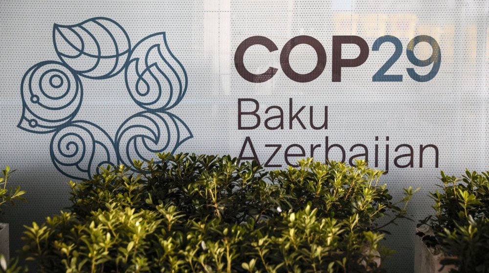 Međunarodne NVO traže da se poljoprivrednicima da novac iz fondova za klimatske promene 1