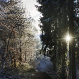 Ministarstvo poljoprivrede: Raspisan Konkurs za subvencije u lovstvu za ovu godinu 7