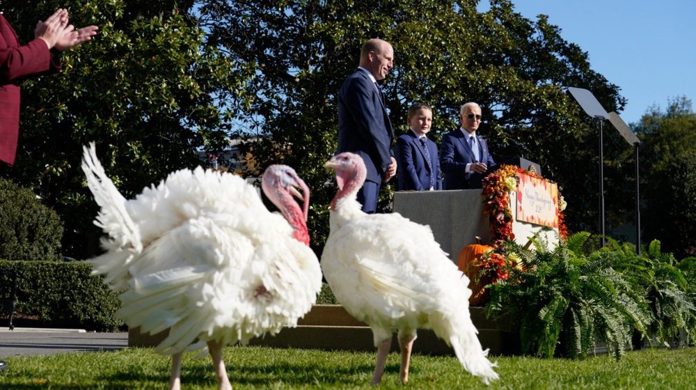 Poslednji put: Bajden pomilovao dve ćurke 1