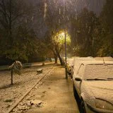 Na Kopaoniku počeo da pada sneg slabog intenziteta 9