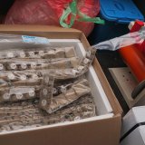 EU uložila 20 miliona evra u vakcinaciju protiv besnila u Srbiji 2