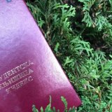 DS: Vlast novim zakonom i finansiranjem stranih fakulteta u Srbiji gasi državne 4