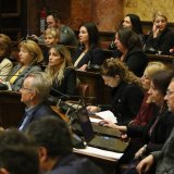 Predsednik Fiskalnog saveta: Povećanje deficita neće ugroziti fiskalnu stabilnost, planiranje javnih prihoda i rashoda "realno i kredibilno" 9