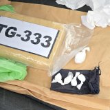 Dačić: Pripadnici UKP-a uhapsili državljanina Hrvatske i zaplenili 15 kilograma kokaina 5