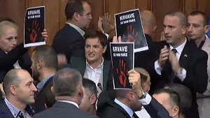 Gde je Ana Brbanić pronašla konstruktivnu i dobru debatu između vlasti i opozicije u parlamentu Srbije? 6