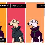 “Pasji život” Luke Tripkovića u Galeriji Centra za grafiku FLU: Šta su nama kućni ljubimci? (FOTO) 5