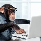 Majmuni nikada neće uspeti da otkucaju Šekspirova dela 3