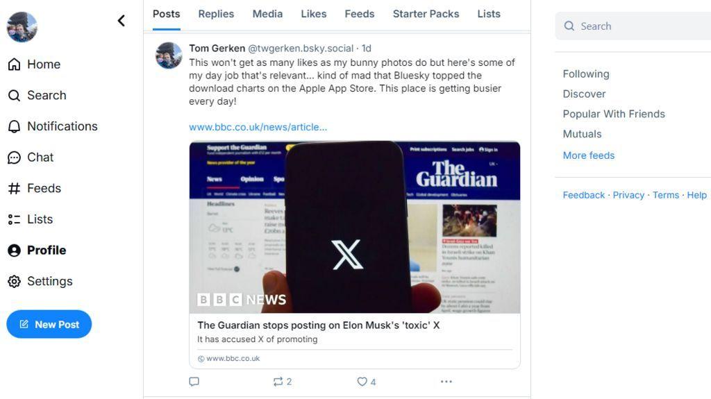 Nova društvena mreža Bluskaj: Šta treba da znate 2 Početna strana izgleda slično kao Iks