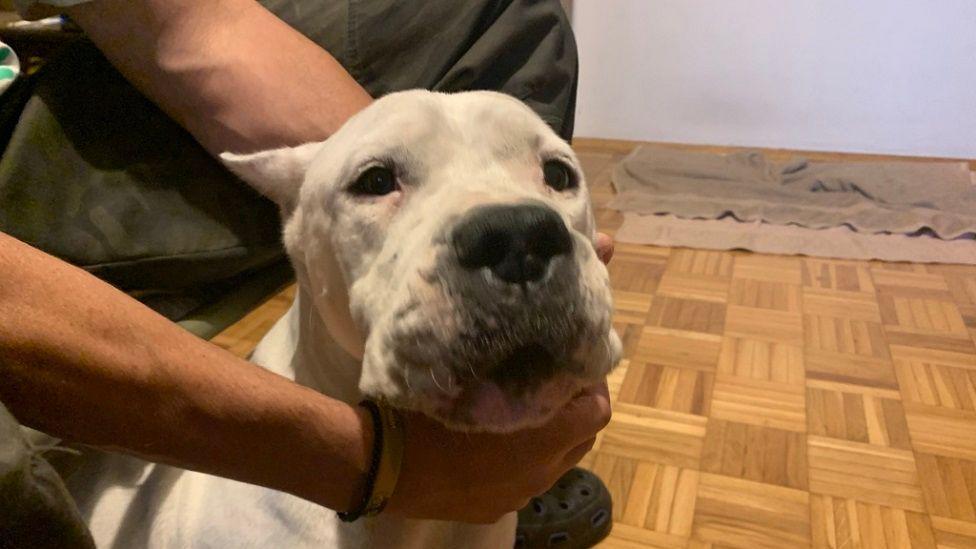 Život bivšeg osuđenika: „Foliram se da sam uklopljen” 2 Kuca je velika maza, kaže