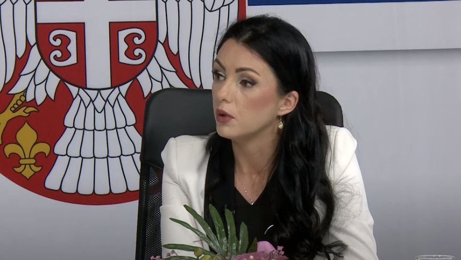 Poznato kada se bira novi gradonačelnik umesto Vidoja Petrovića u Loznici 2 Poznato kada se bira novi gradonačelnik umesto Vidoja Petrovića u Loznici 2