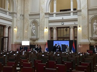 Svetlana Ražnatović u Skupštini: Na komemoraciji Markoviću Palmi i Vučić (FOTO) 4