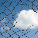 Zabavne naučne činjenice koje će vas oduševiti: Znamo koliko je težak oblak i da li puževi imaju zube 5