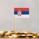 Deficit republičkog budžeta za pet meseci 72,1 milijarde dinara 13
