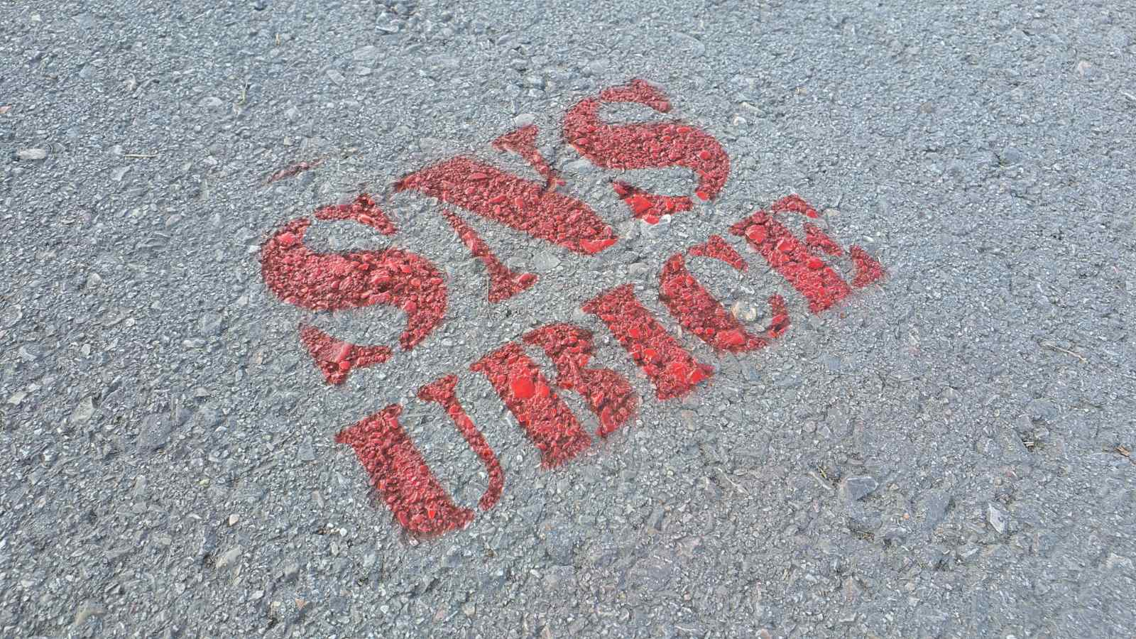 Završen protest u Novom Sadu: Na ivici incidenta zbog "Evromajdana", aktivisti poručili da nastavljaju akcije (FOTO, VIDEO) 11