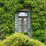 MUP objavio sedam saveta za vlasnike vikendica 2