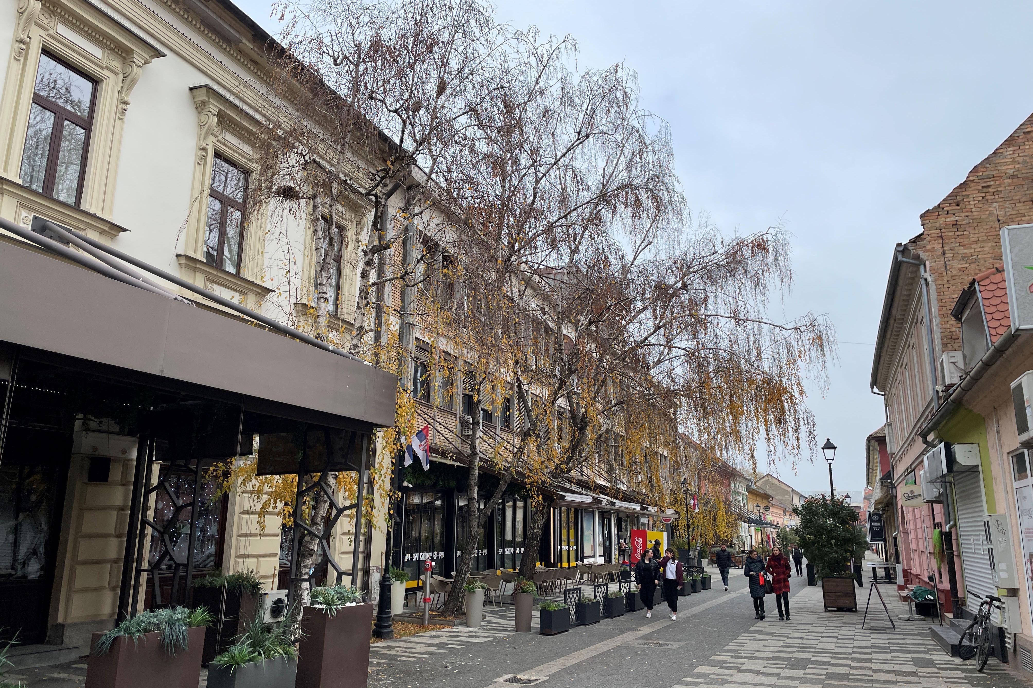 Pernato iznenađenje: Otkud sove u centru Pančeva 4 Centar Pančeva