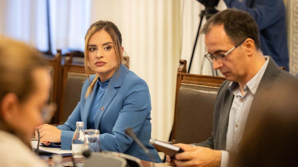 Đurđević Stamenkovski: Angažovanje dece u političkim aktivnostima može se smatrati manipulacijom 1