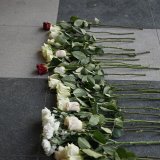 Porodice žrtava iz „Ribnikara“ traže spuštanje starosne granice krivične odgovornosti na 12 godina 5