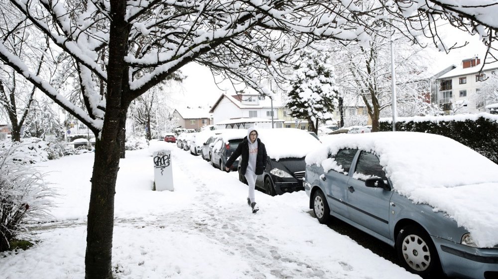 Snežne padavine okovale region: U FBiH oko 60.000 potrošača bez struje, u jednom mestu u Hrvatskoj očekuju metar snega, kolaps na severu Crne Gore (VIDEO) 1