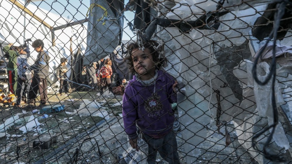 Šta svetski mediji pišu o 2024. godini: Pad globalnog poretka i posrnuće zapadnih demokratija 1