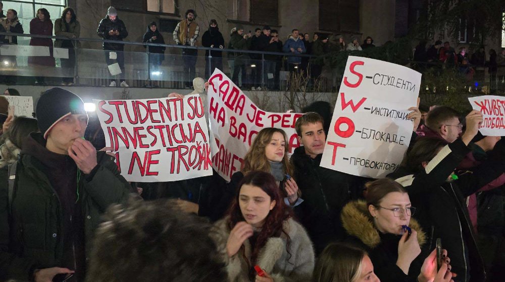 “Želimo Srbiju u kojoj se poštuju osnovne civilizacijske tekovine“: Srbi u dijaspori pružili podršku studentskim protestima 1