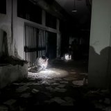 Ko je tajanstveni čovek koji je pušten iz zloglasnog zatvora u Siriji 4