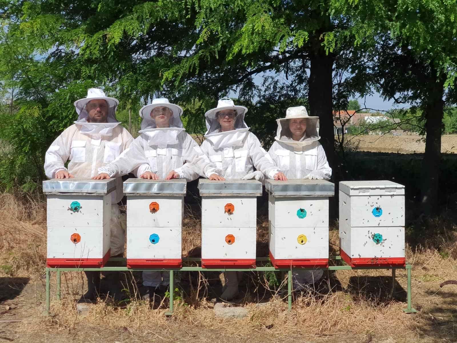 Šta je lažni med i kako se Srbija bori protiv falsifikata 5 pčele