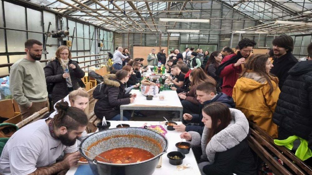 Lepi Brka, Masteršef, profesori, građani: Ko će kuvati na protestu u Nišu? 1