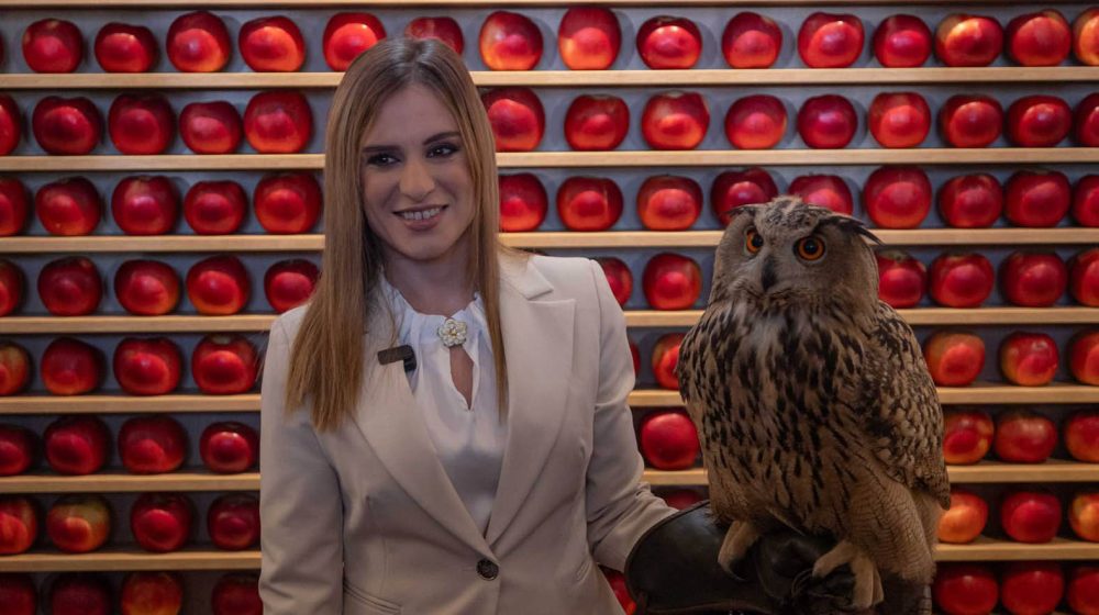 Princ Filip Karađorđević odbio da učestvuje u protokolu Milice Đurđević Stamenkovski (FOTO) 1